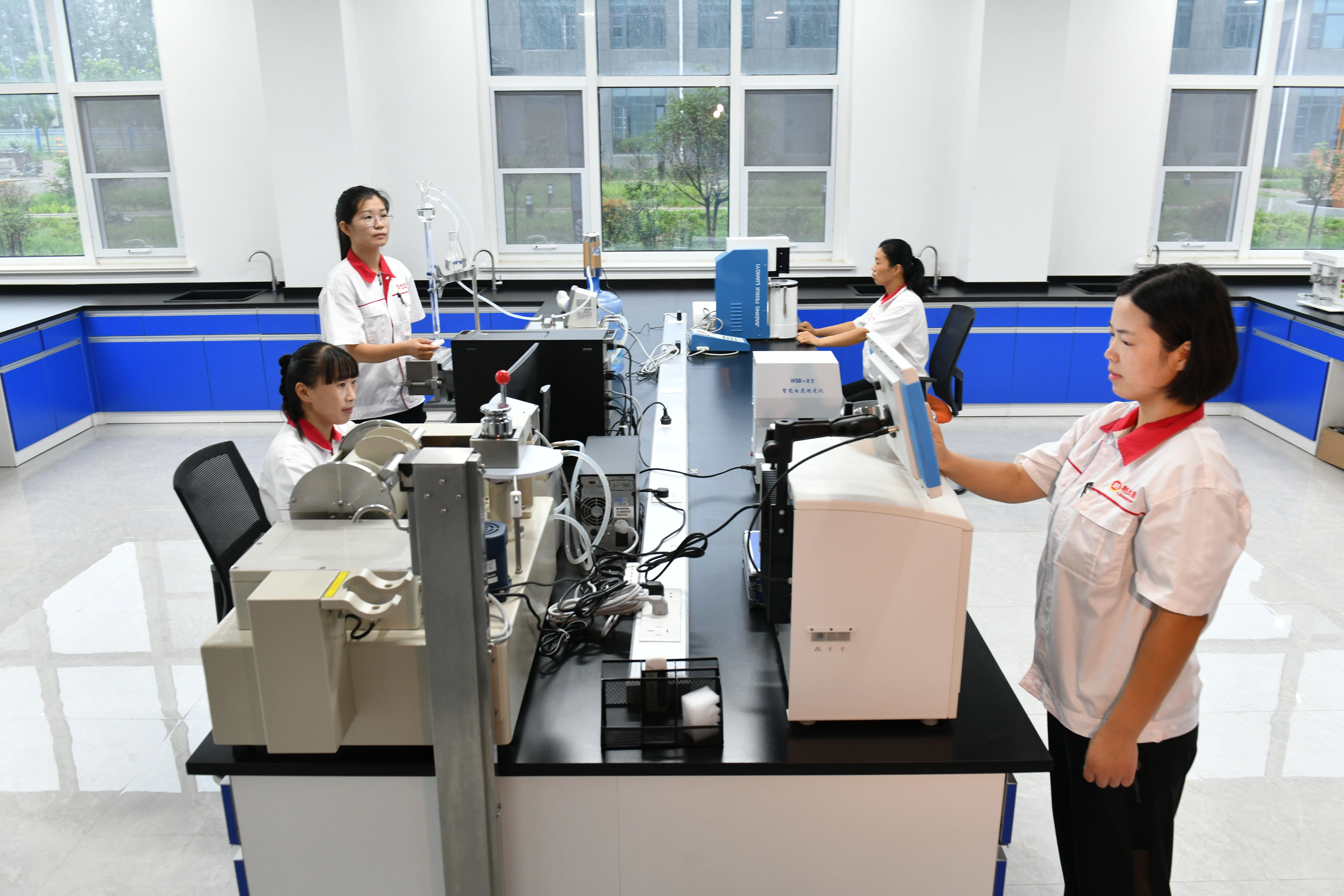 Lisheng Passes FSSC 22000 Food Safety Certification, Aligning with International Procurement Standards