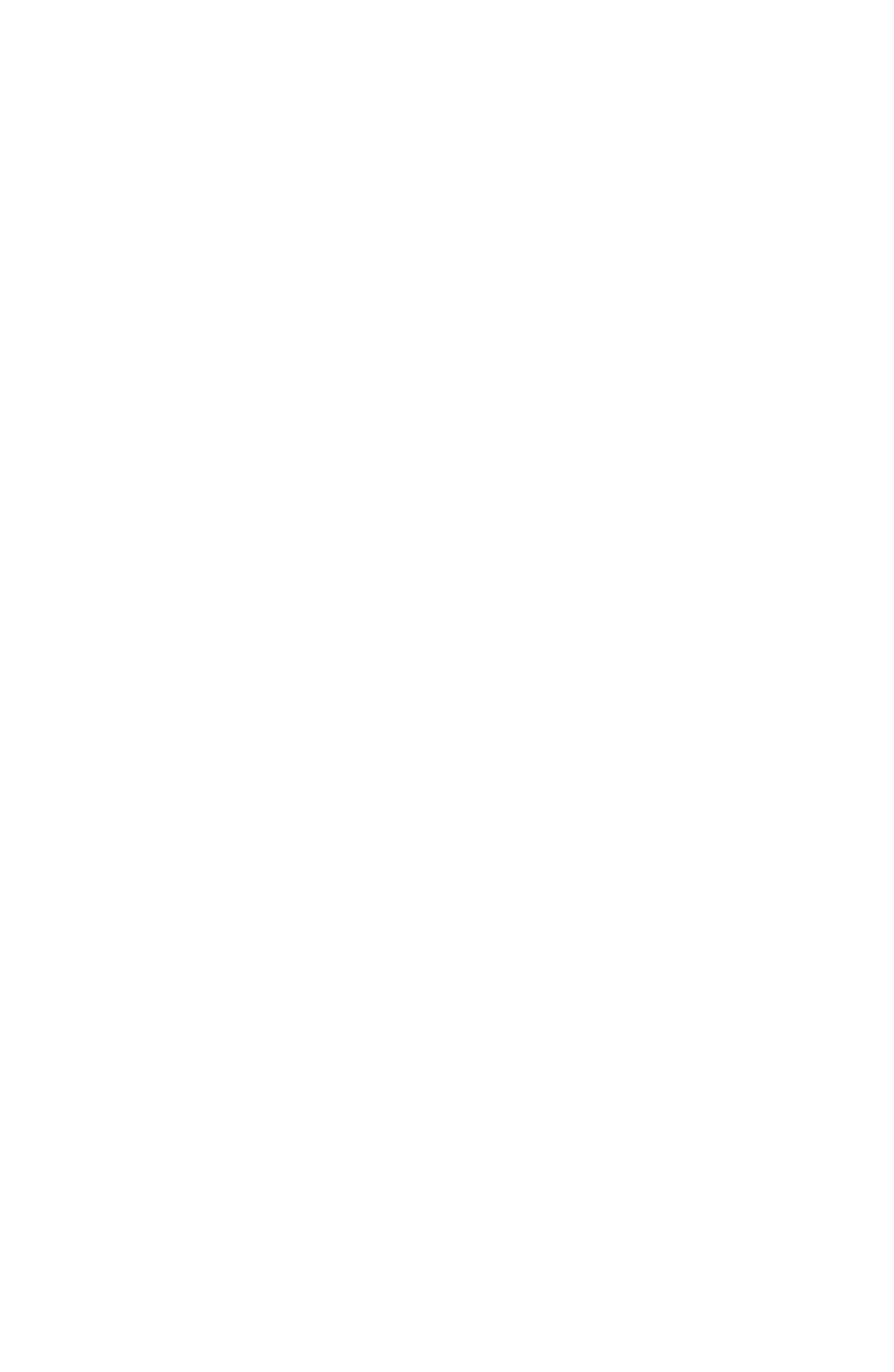 Lisheng Group logo