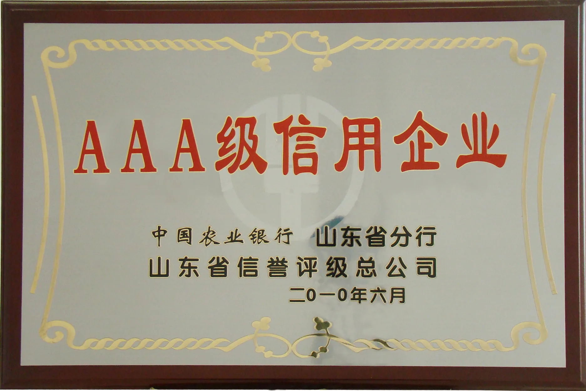 AAA Credit Enterprise (Agricultural Bank of China)