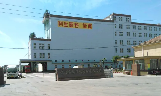 Shandong Lisheng Group Shenzhou Flour Co., Ltd. facility