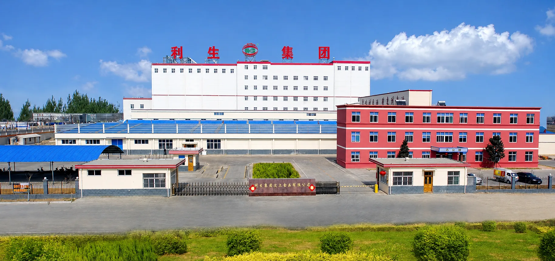 Shandong Lisheng Group Wenshang Flour Co., Ltd. facility