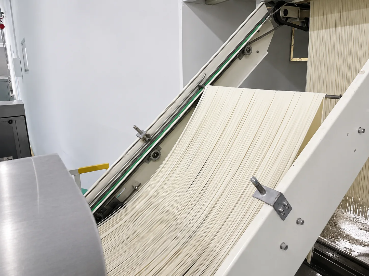 Fine noodle strands on the production line