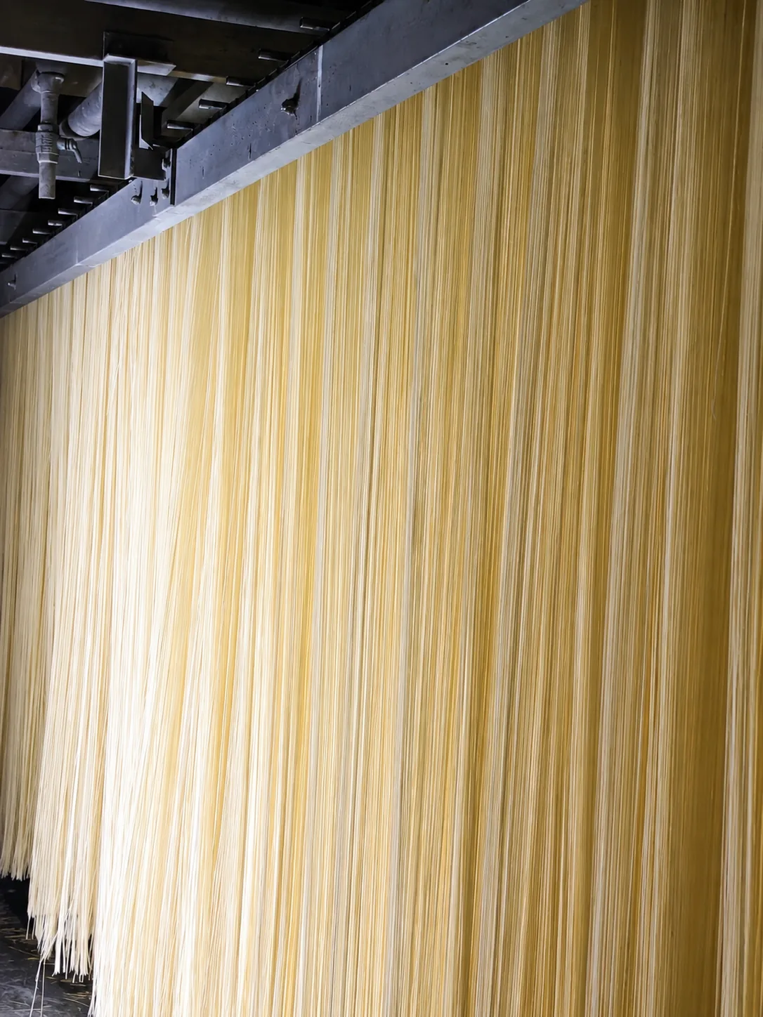 Noodles hanging in the drying room