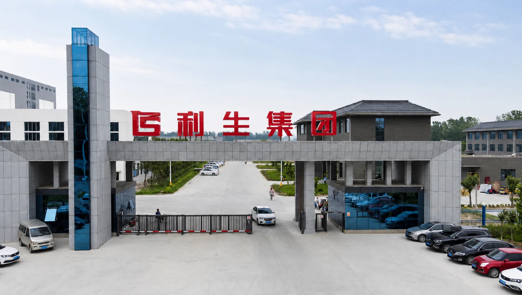 Lisheng's First Custom Noodles Export to Southeast Asia: A Breakthrough in Overseas Markets