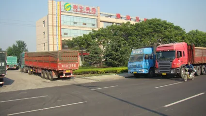 Lisheng's 2013 Summer Grain Purchasing Fully Underway